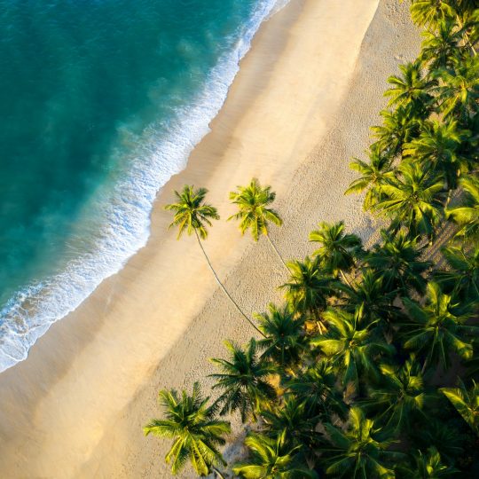 amal-prasad-ztFkvmLKTcY-unsplash (1)