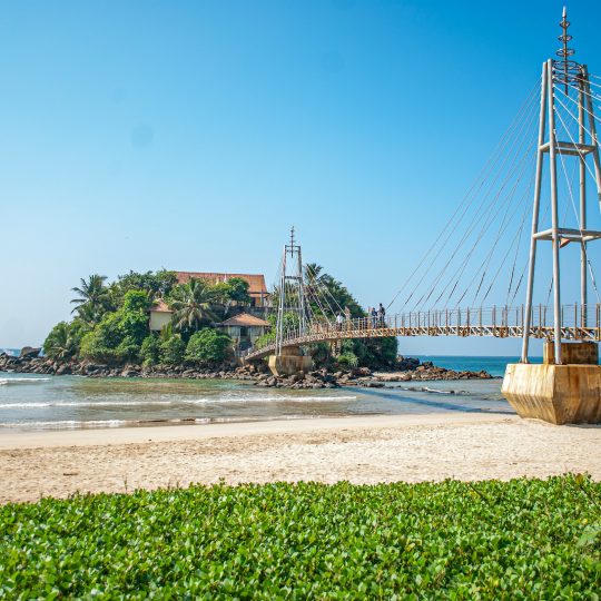 ramith-bhasuka-jcoO6i1oDnQ-unsplash